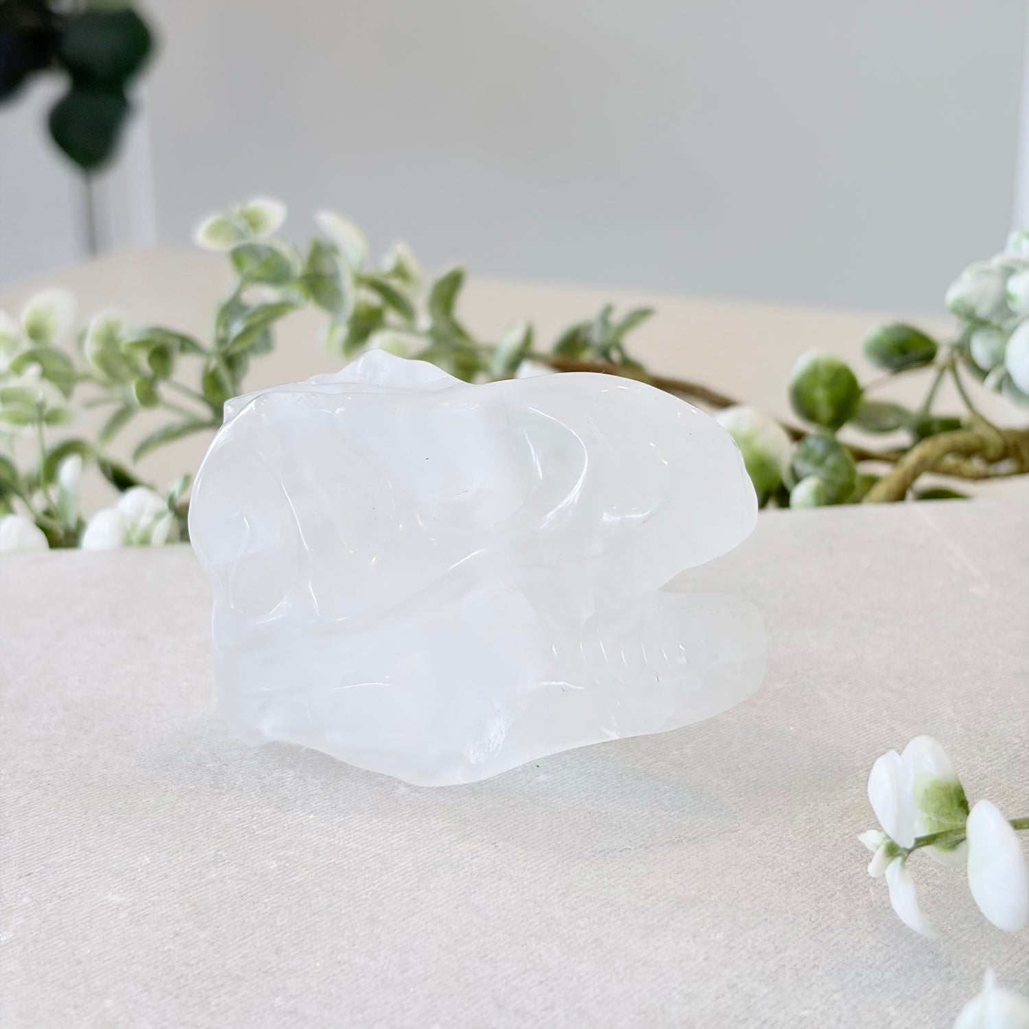 Clear Quartz Dinosaur Head Carving