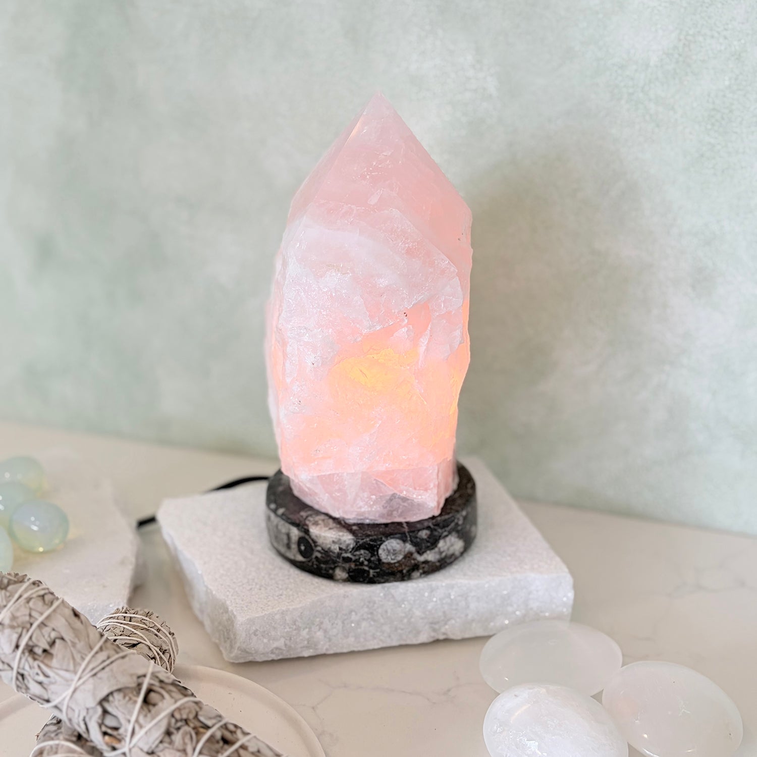 Rose Quartz Point Lamp with Moroccan Orthoceras Fossil Base