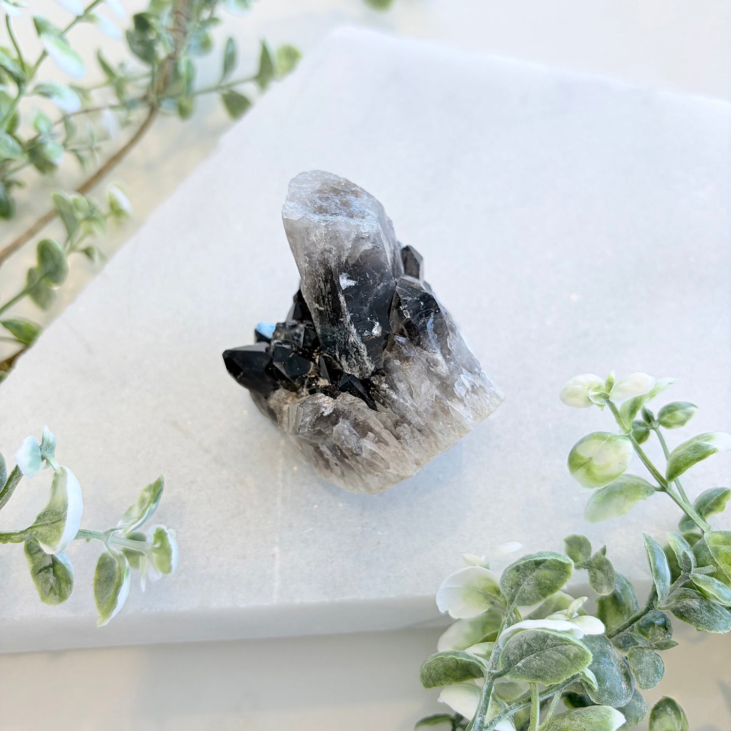 Smoky Quartz Cluster 002