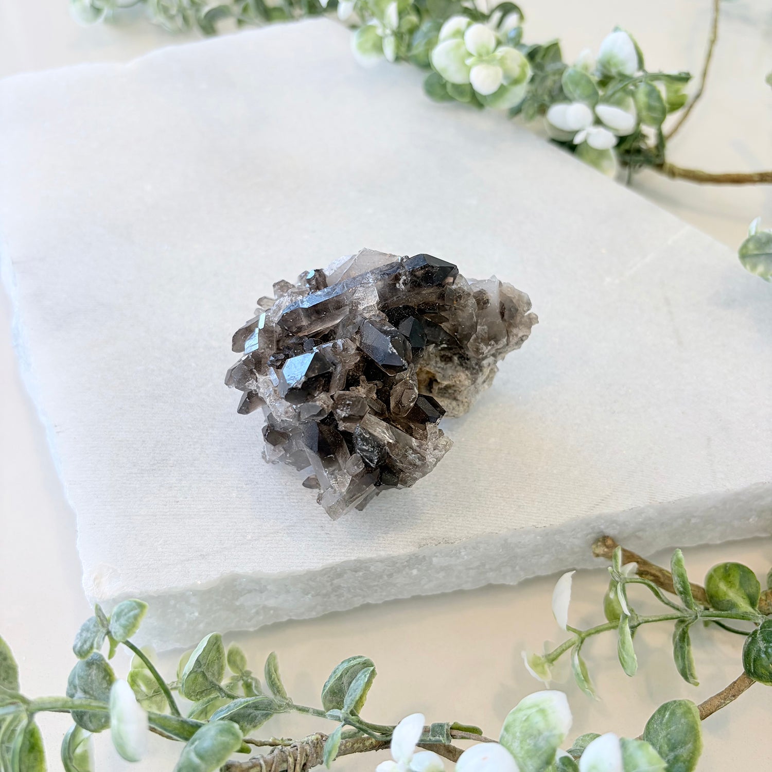 Smoky Quartz Cluster 003