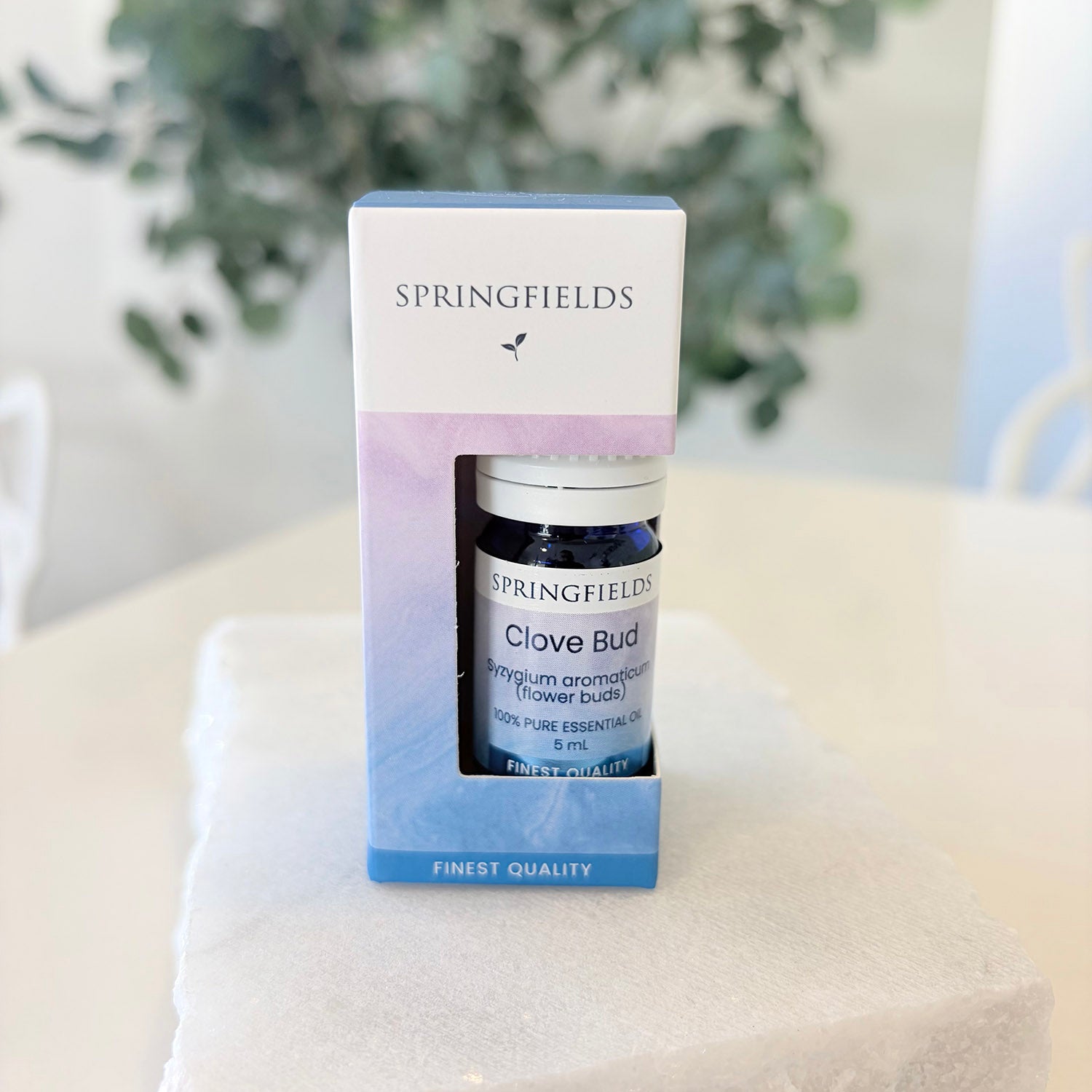 Springfields Clove Bud Essential Oil 5ml