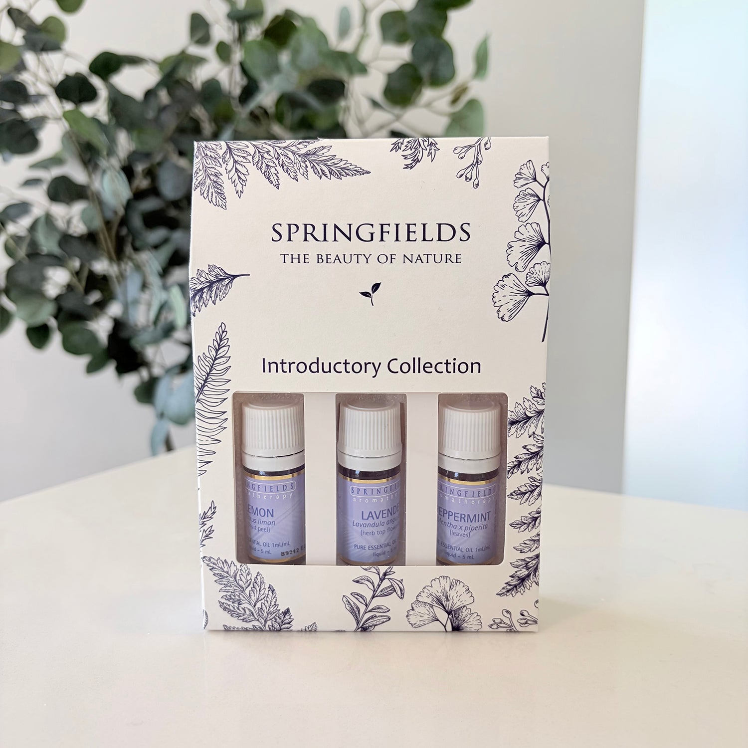 Springfields Introductory Collection Essential Oil Gift Pack